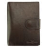 colour brown-brown