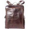 colour brown-brown