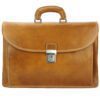 colour-light brown