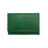 couleur-vert-clair