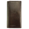 colour brown-brown