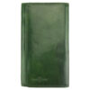 colour-green-bulb