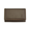 colour brown-brown
