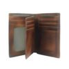 colour brown-brown