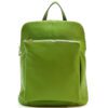 couleur-vert-avocat