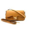 colour-light brown
